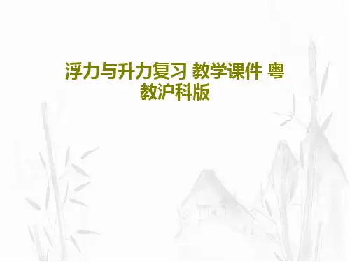 浮力与升力复习 教学课件 粤教沪科版共48页文档