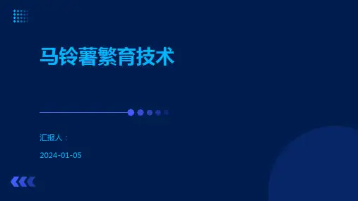 马铃薯繁育技术