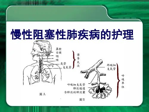 医生护士老年人呼吸系统常见疾病的护理ppt