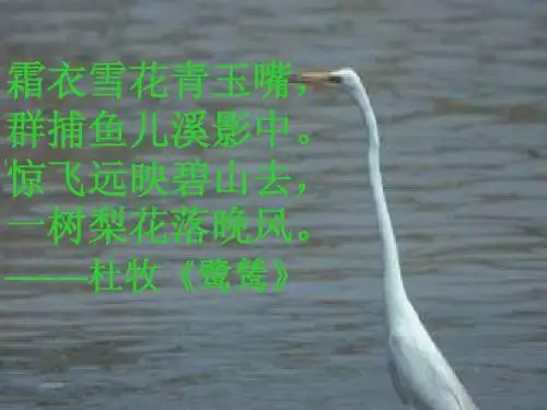2013散文家谈散文
