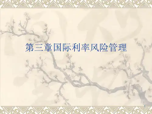 第三章国际利率风险管理