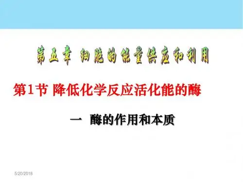 人教版必修一第五章第1节降低化学反应活化能的酶(共29张PPT)