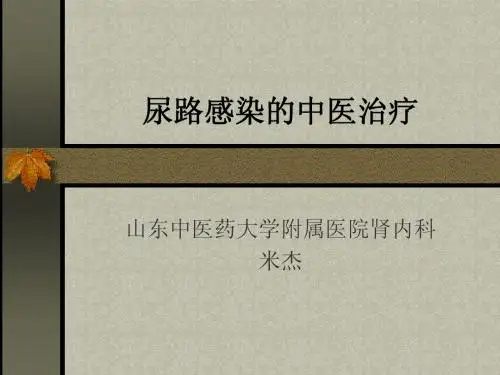 尿路感染的中医治疗