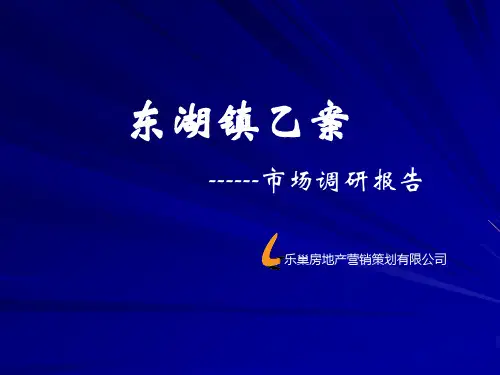 东湖项目市场调研报告