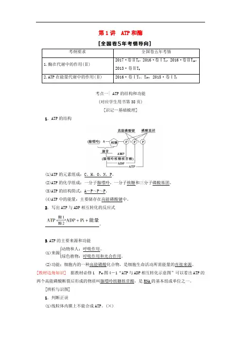高考生物一轮复习 第3单元 光合作用和细胞呼吸 第1讲 ATP和酶学案 苏教版
