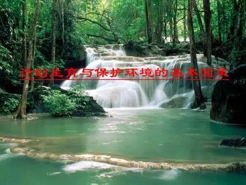 初三政治《计划生育与保护环境的基本国策》PPT课件