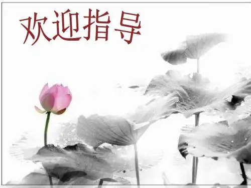 人教版小学语文四年级上册第六单元第20课《古诗两首》课件.ppt
