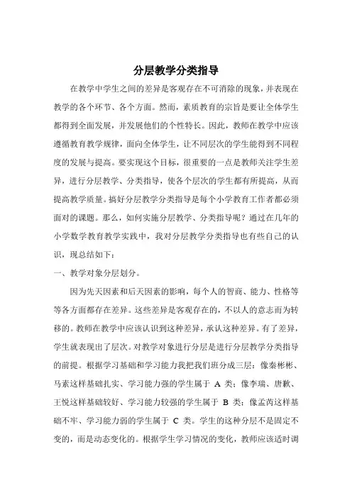 分层教学分类指导经验总结