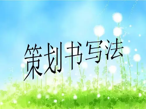 策划书写法