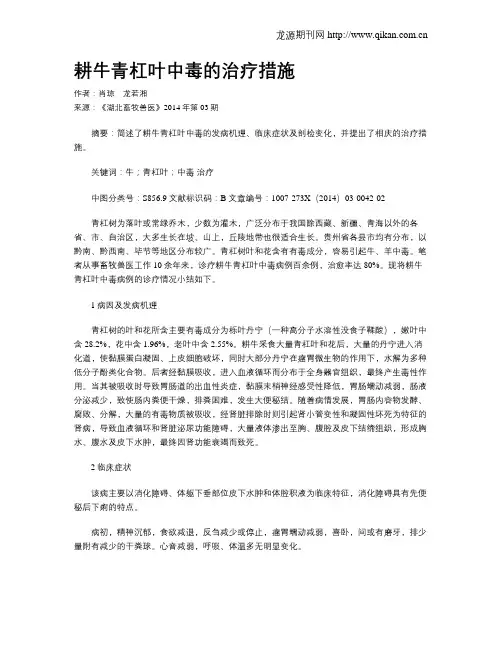 耕牛青杠叶中毒的治疗措施