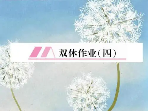 毕节专版2018八年级语文下册双休作业4课件新人教版56