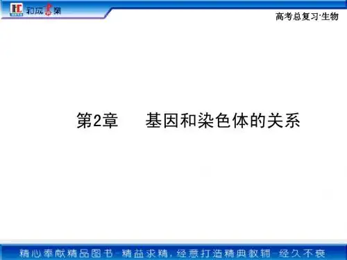 必修二生物总复习第2章 第1节