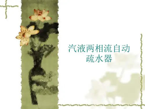 汽液两相流自动疏水器