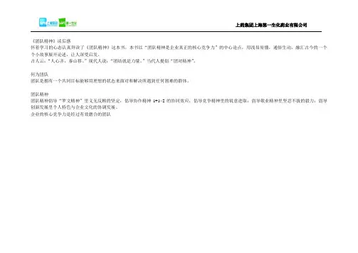 团队精神 2