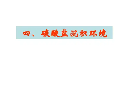 碳酸盐岩沉积模式