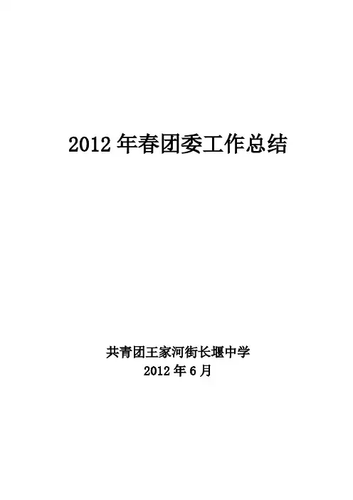 2012年春团委工作总结