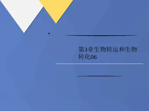 第3章生物讲义转运和生物转化06