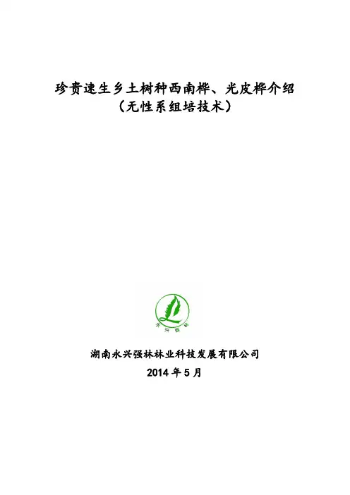 珍贵速生乡土树种西南桦、光皮桦介绍(组培)