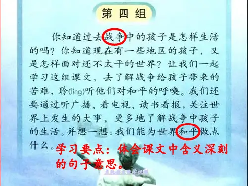 13.夜莺的歌声(完美版)吗PPT课件