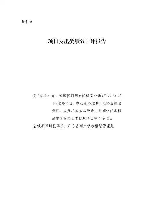 项目支出类绩效自评报告