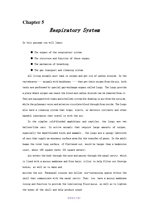 医学专业英语-Chapter-5-Respiratory-System