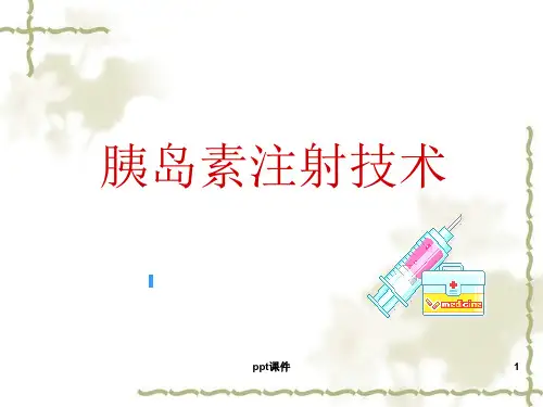 胰岛素注射 ppt课件
