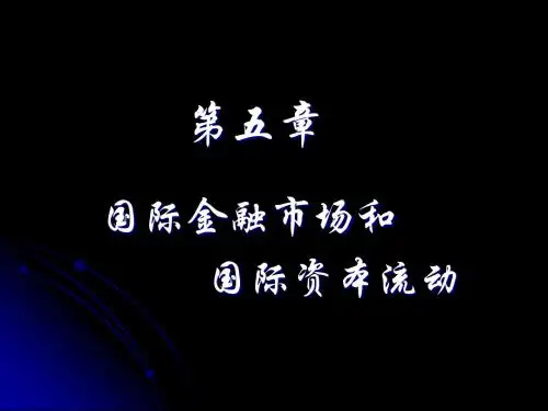 第五章国际金融市场和资本流动