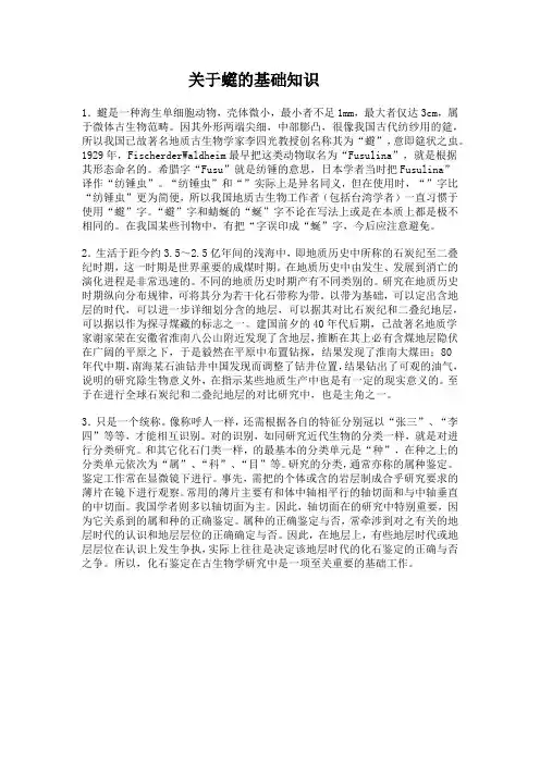 关于蜓的基础知识