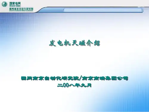 灭磁系统介绍