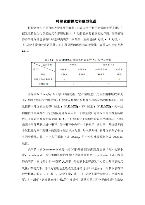 叶绿素的提取和薄层色谱
