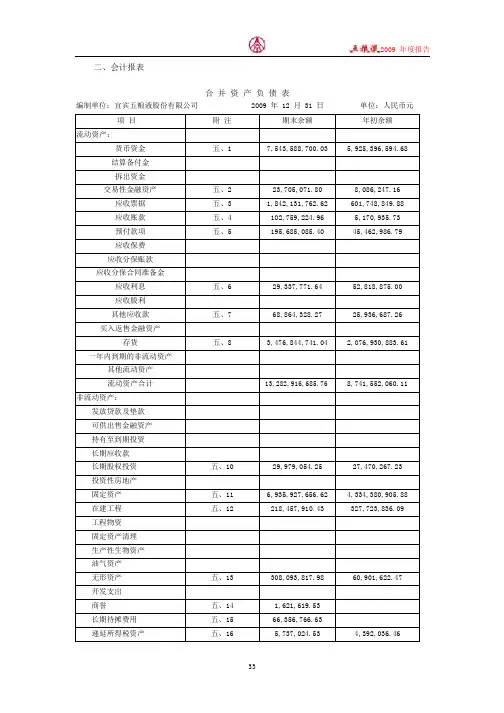 五粮液集团2009年财务报表