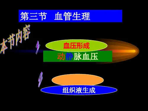 血管生理PPT课件
