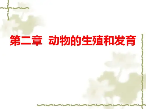 动物的生殖和发育