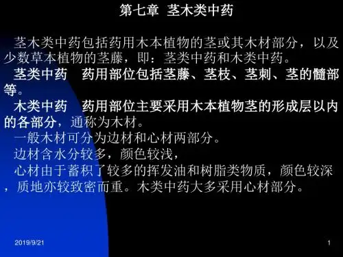 茎木类中药中药鉴定学成人教育教课件