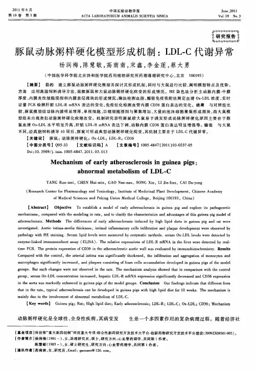 豚鼠动脉粥样硬化模型形成机制：LDL-C代谢异常