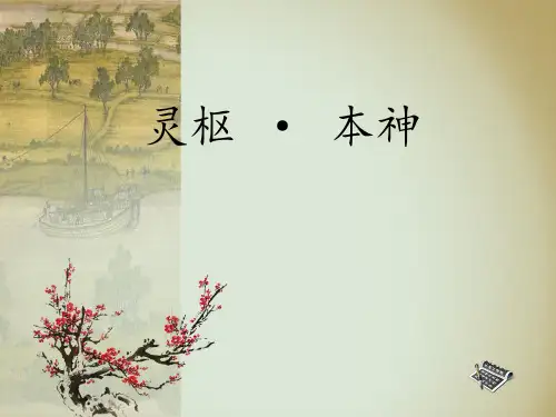 内经 五脏虚实病机分析