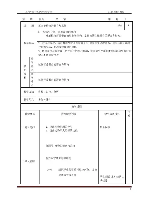2-4植物的器官与系统1