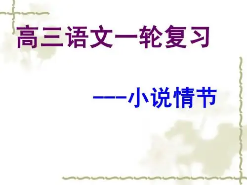 一轮小说情节