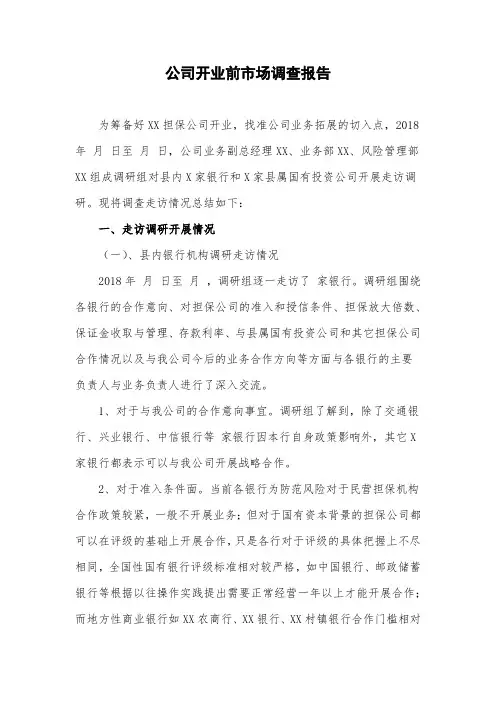 XX担保公司调研报告