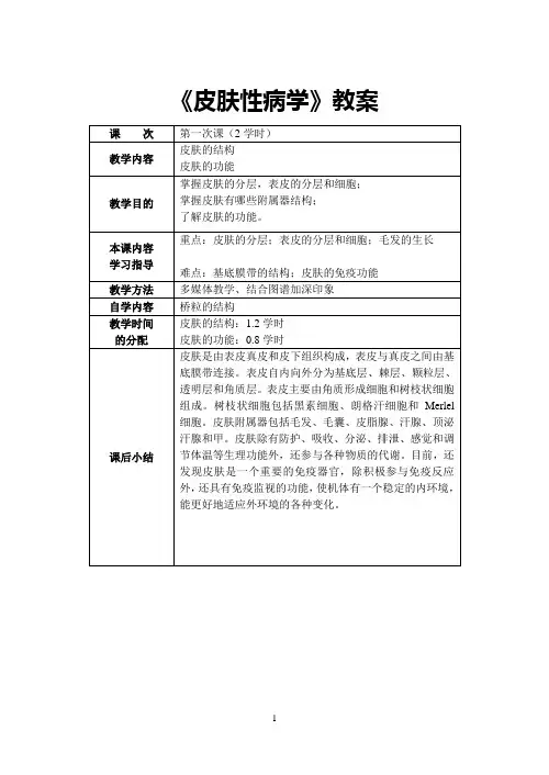 皮肤的结构功能