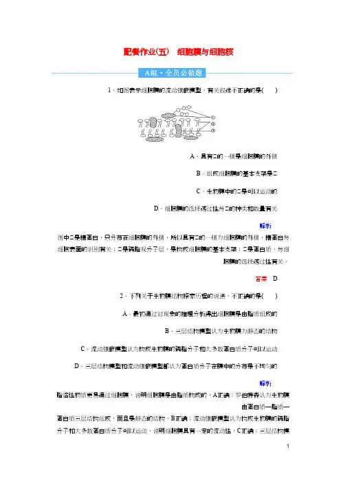 高考生物一轮复习配餐作业5细胞膜与细胞核含解析