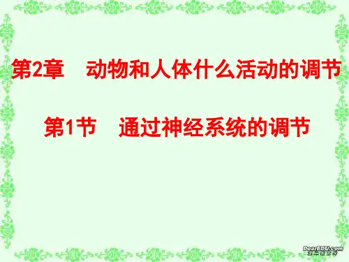 第二章第一节通过神经系统的调节