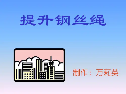 提升钢丝绳