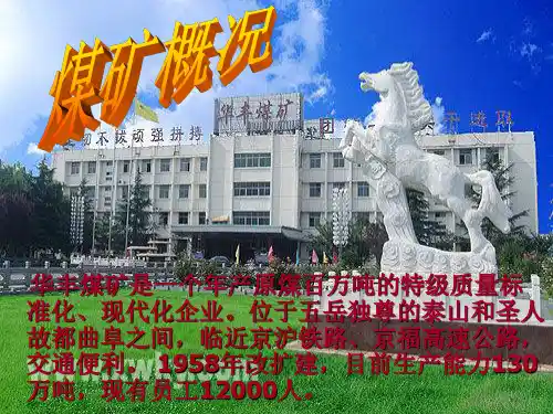 煤矿概况