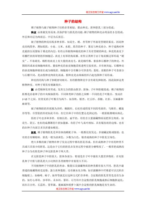 种子的结构