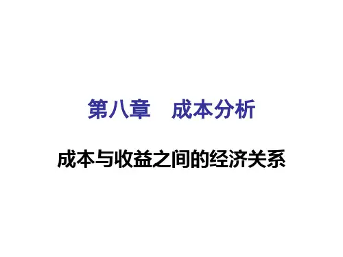 成本分析