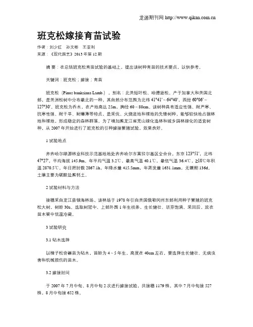 班克松嫁接育苗试验