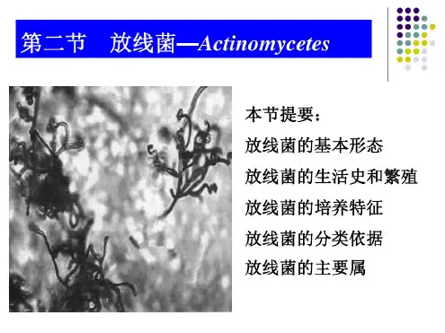 放线菌及蓝细菌PPT精品医学课件