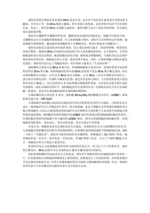 端粒与端粒酶