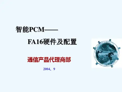FA16基础知识配置手册